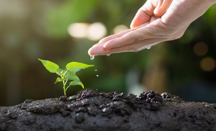 Starter Growth Plan
